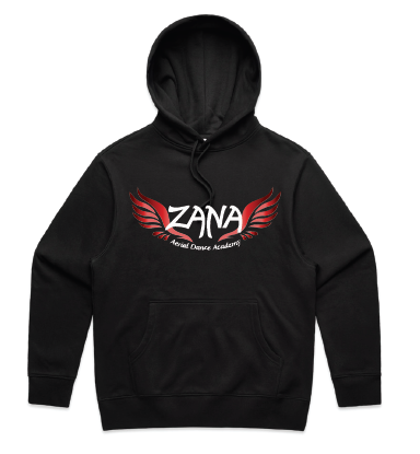 Zana Aerial Mens Heavy Hoodie