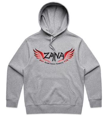 Zana Aerial Mens Heavy Hoodie